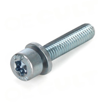 Porsche 911 (993) 1994-1998 Skruv till Ventilkåpa M6x30mm OE-Cult